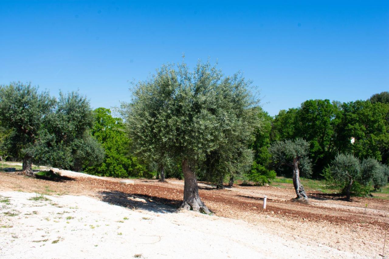 Вилла Casale Dello Zio, Private Pool By Il Pumo Di Puglia Кастеллана-Гротте Экстерьер фото
